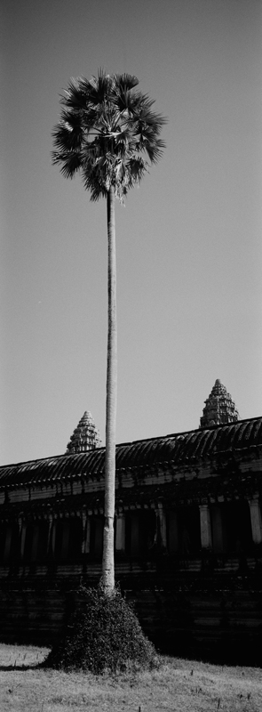 CCC201000255W343029_IMACON4EXTDIVIDED-2_CLEAN_LR