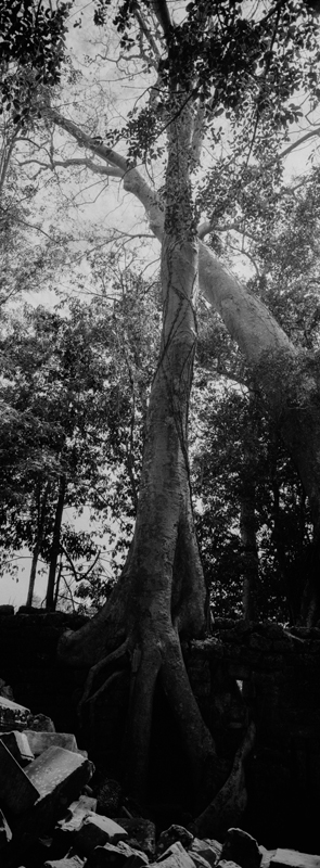 CCC201000255W343033_IMACON1EXTDIVIDED_CLEAN_LR