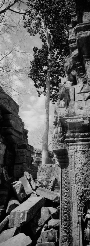 CCC201000255W343033_IMACON3EXTDIVIDED-2_CLEAN_LR