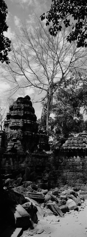 CCC201000255W343033_IMACON4EXTDIVIDED-3_CLEAN_LR