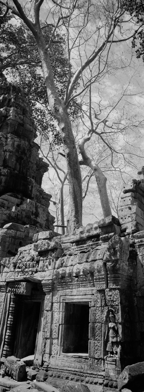 CCC201000255W343033_IMACON4EXTDIVIDED_CLEAN_LR