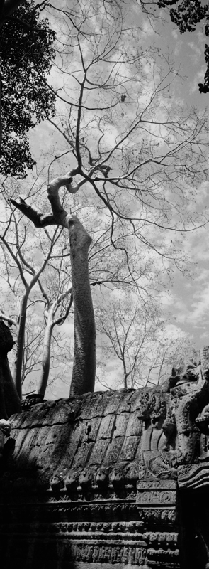 CCC201000255W343033_IMACON7EXTDIVIDED-2_CLEAN_LR