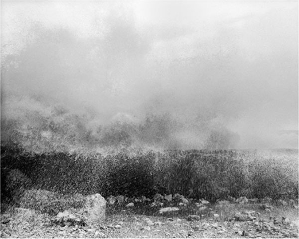 Blowing in the wind: Sea - 8