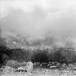 Blowing in the Wind I: Sea 2011