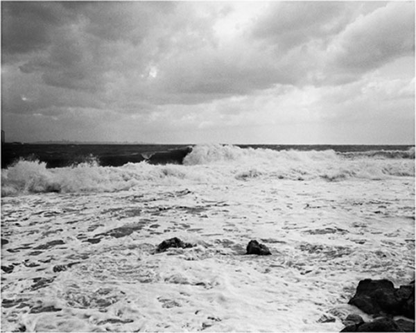 Blowing in the wind: Sea - 12