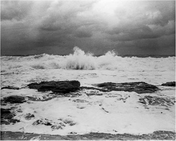 Blowing in the wind: Sea - 14