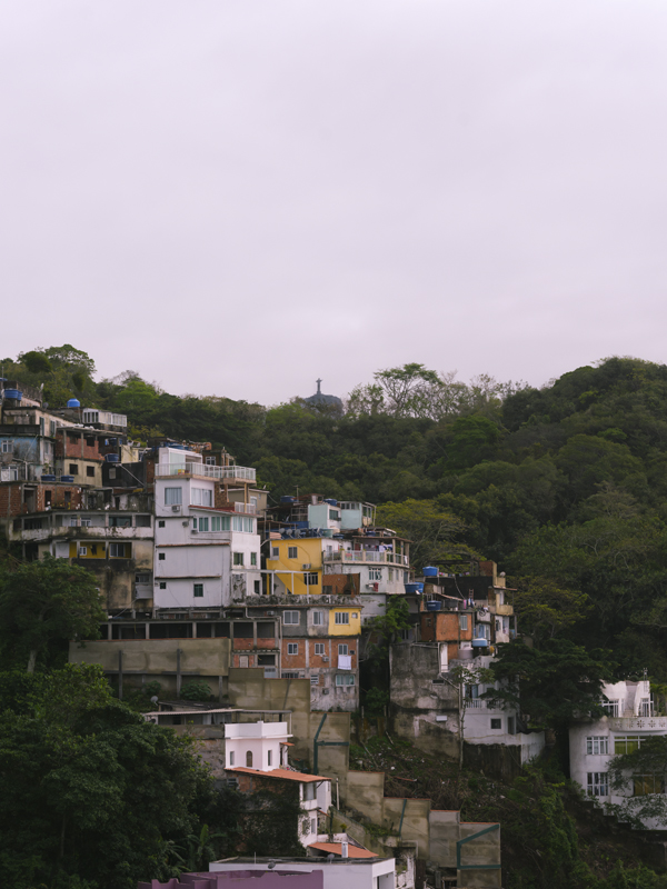 Cactus RIO Gral01
