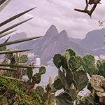 Cactus RIO General 2022