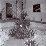 _DSF7228_P_ic
