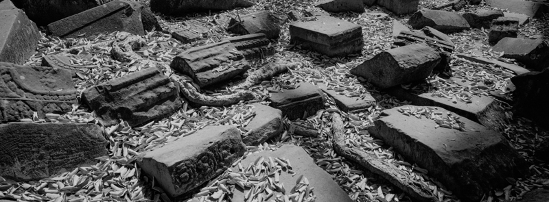 CCC201000255W343021_IMACON1EXTDIVIDED_CLEAN_LR