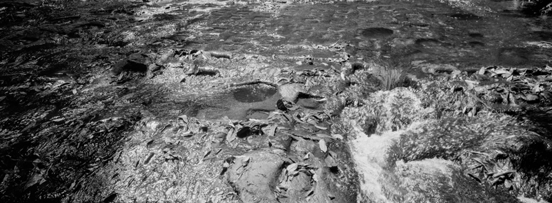 CCC201000255W345003_IMACON1EXTDIVIDED-2_CLEAN_LR