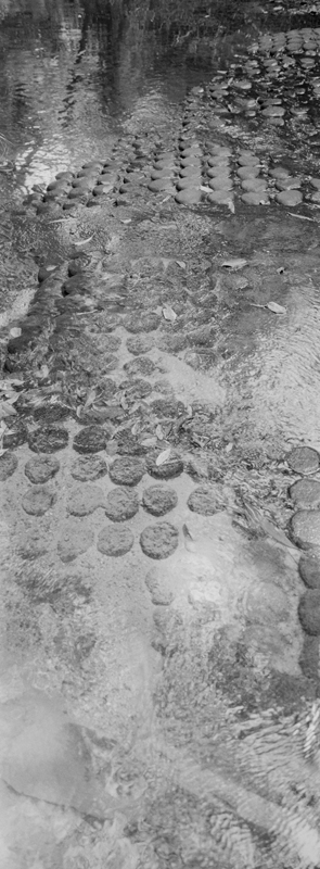 CCC201000255W345015_IMACON3EXTDIVIDED-2_CLEAN_LR