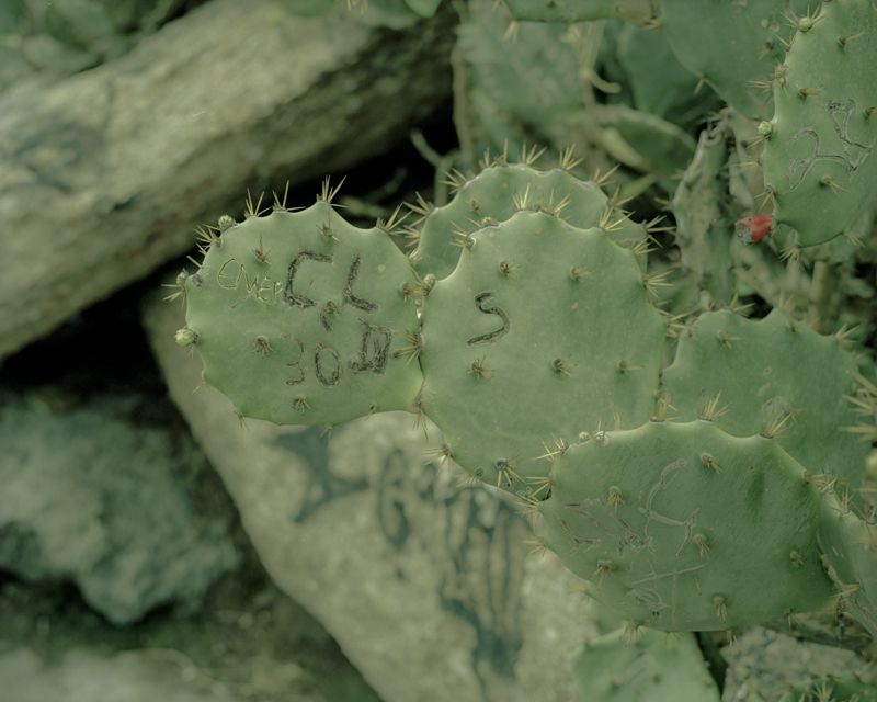 CCC201600607K225007_IMACON1DIVIDED"