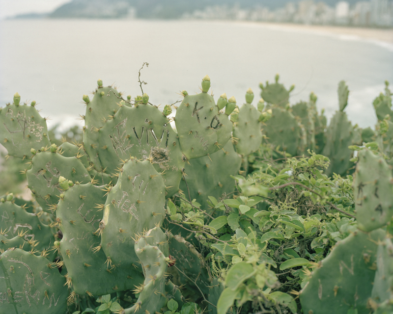 CCC201600607K225008_IMACON7DIVIDED