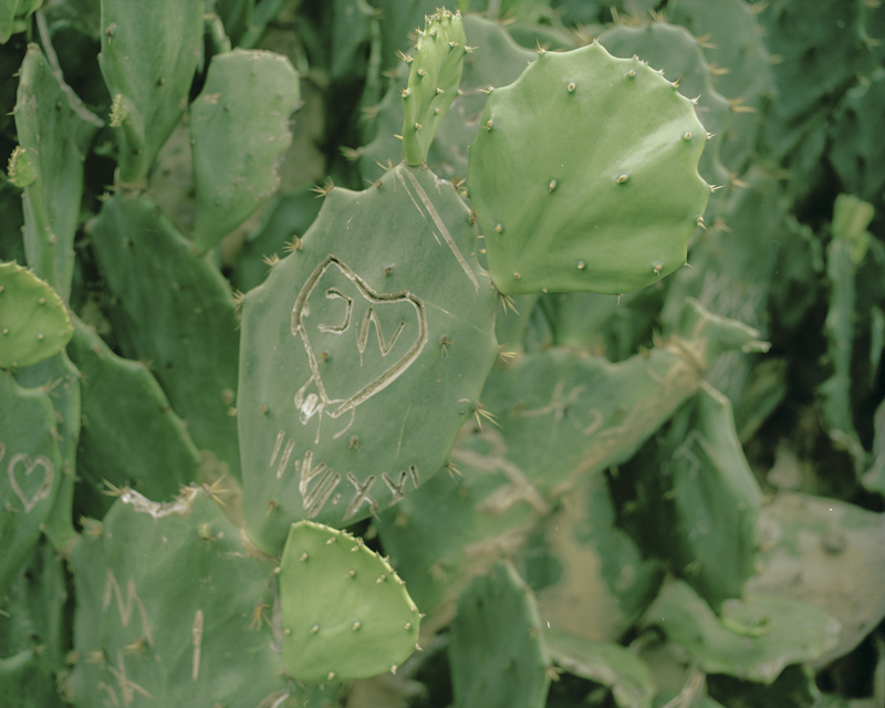 CCC201600607K225010_IMACON5DIVIDED