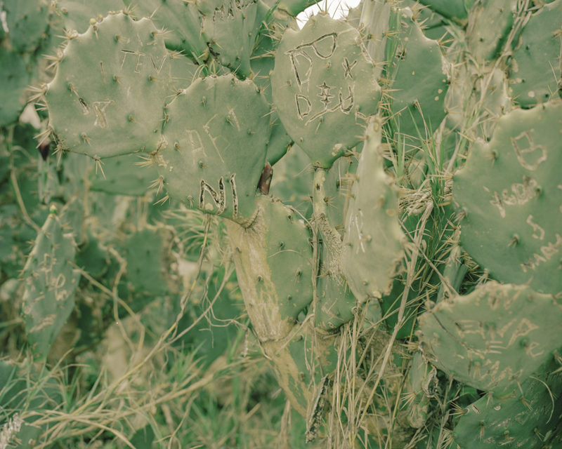 CCC201600607K225012_IMACON3DIVIDED