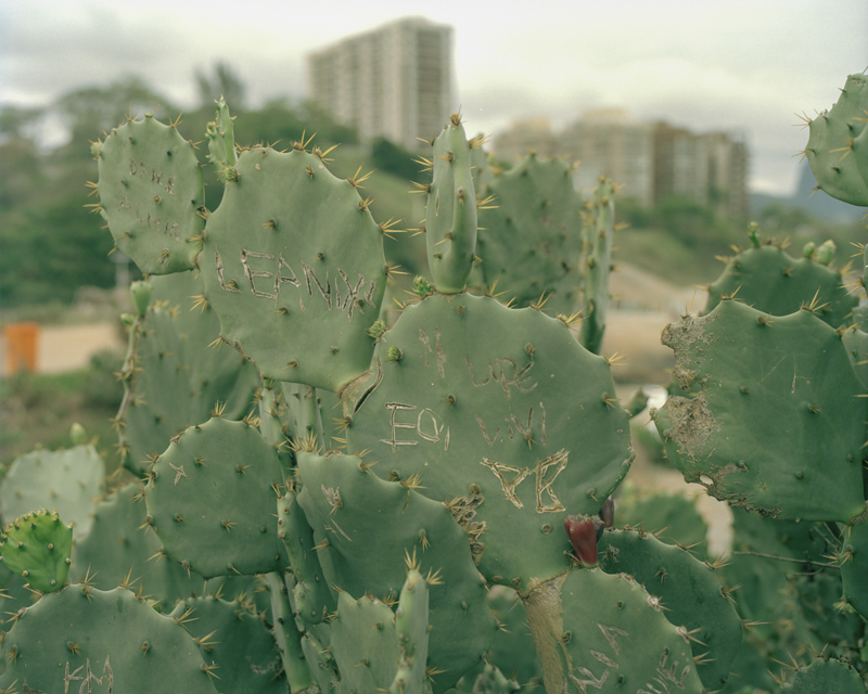 CCC201600607K225012_IMACON8DIVIDED