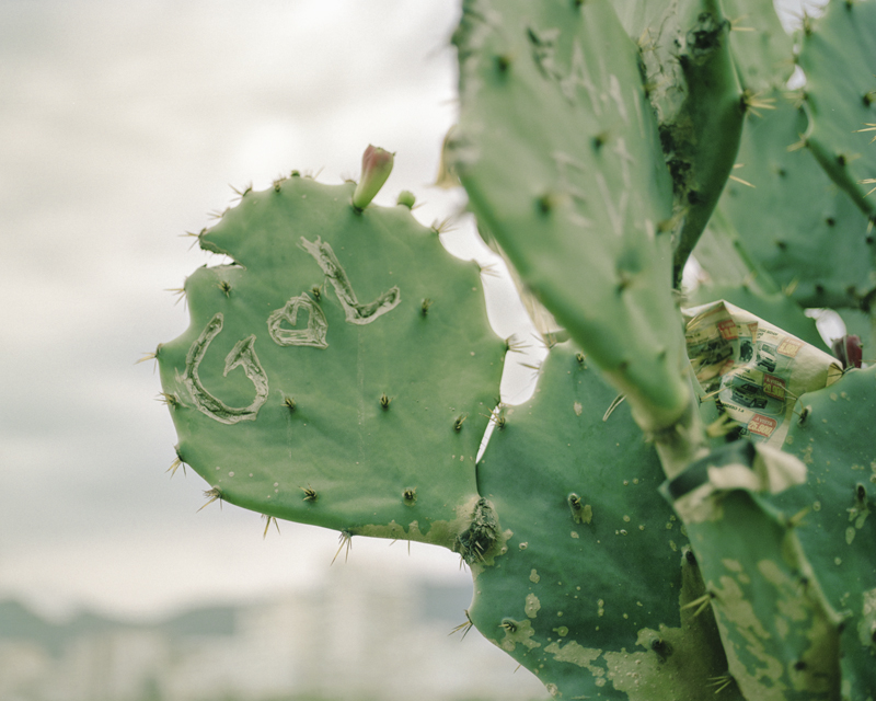 CCC201600607K225023_IMACON2DIVIDED