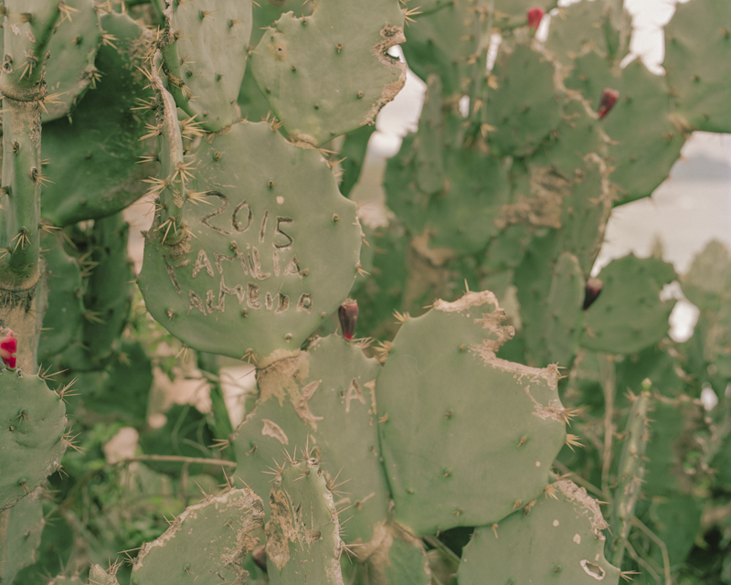 CCC201600607K225026_IMACON3DIVIDED