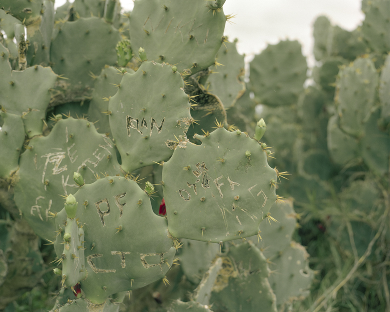 CCC201600607K225026_IMACON4DIVIDED