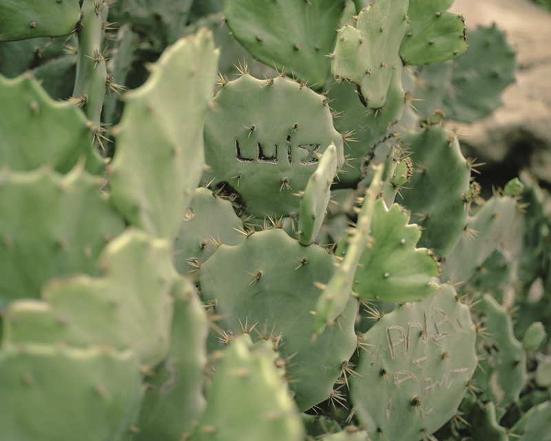 CCC201600607K225030_IMACON6DIVIDED