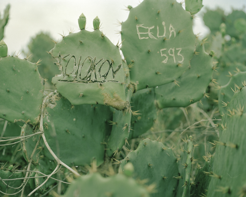 CCC201600607K225031_IMACON10DIVIDED