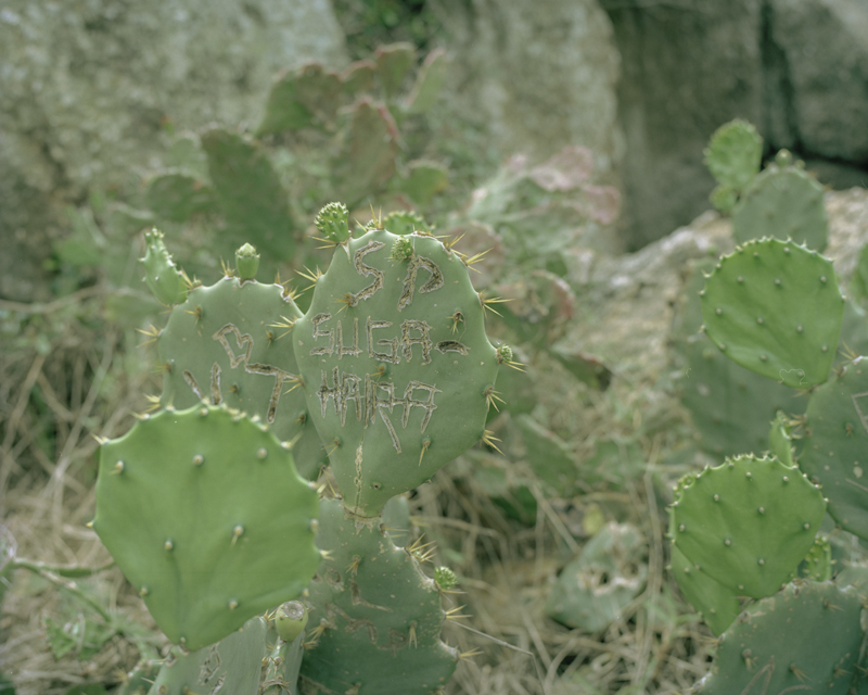 CCC201600607K225035B_IMACON7DIVIDED