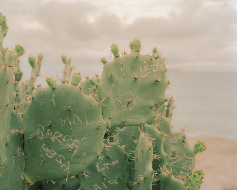 CCC201600607K225037_IMACON5DIVIDED