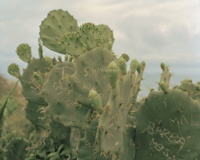 CCC201600607K225037_IMACON6DIVIDED