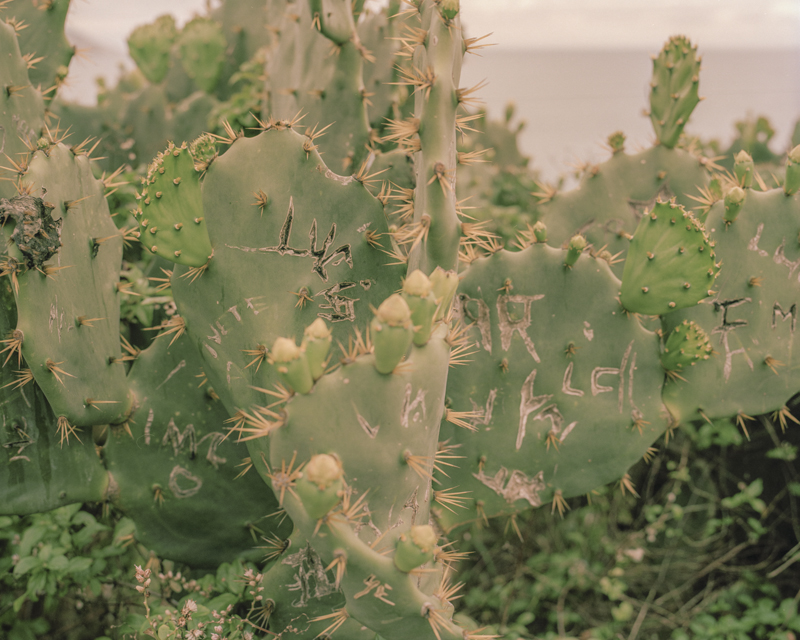 CCC201600607K225043_IMACON6DIVIDED