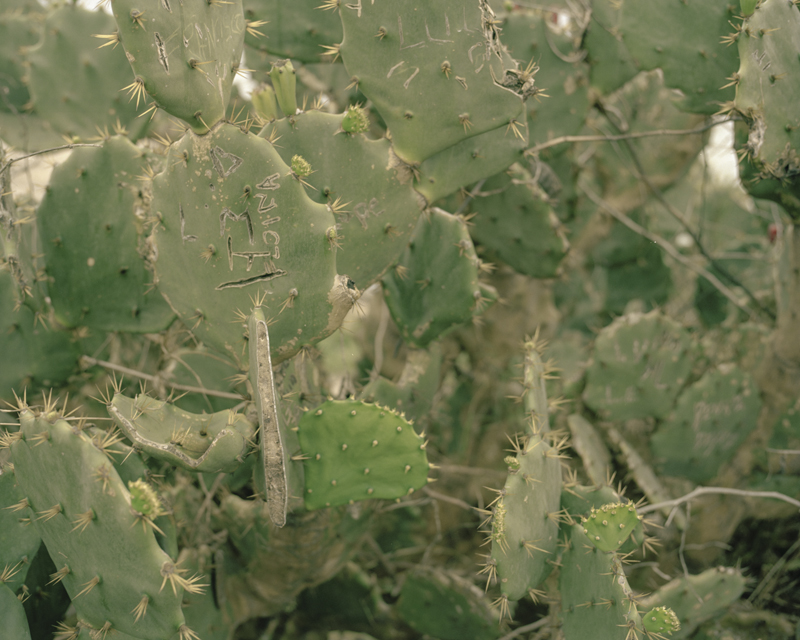 CCC201600607K225051_IMACON7DIVIDED