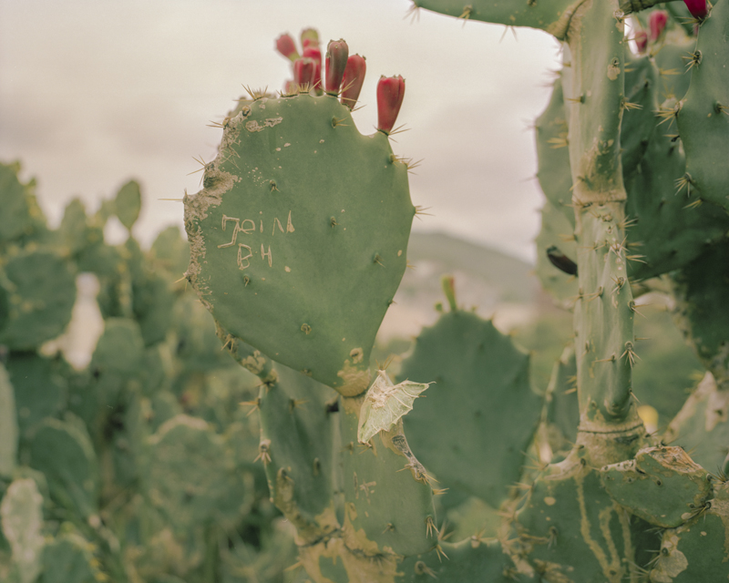 CCC201600607K225052_IMACON3DIVIDED