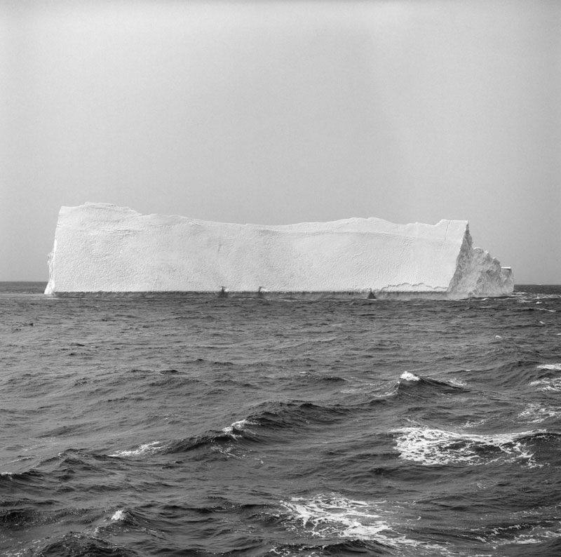 Iceberg square 04