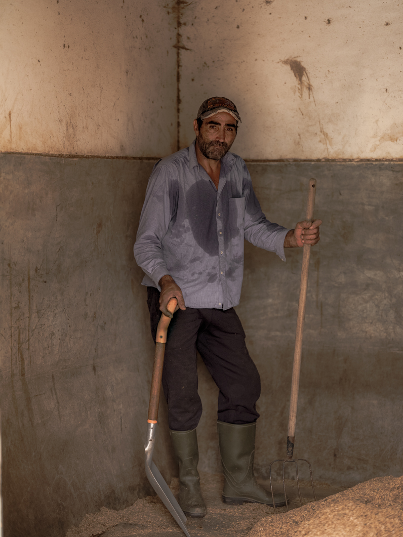 Labour Anonymous V: Arabians 2021 5